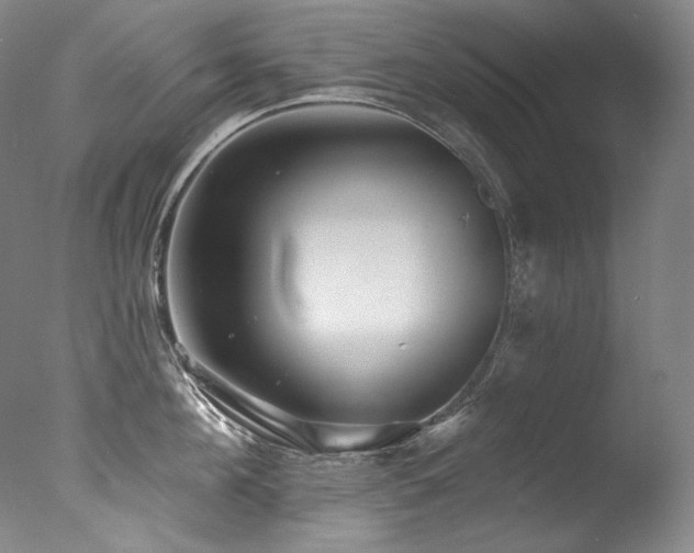 X0000077370908200610201345