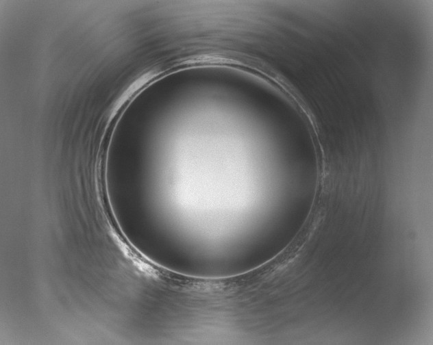 X0000077370909200610201345