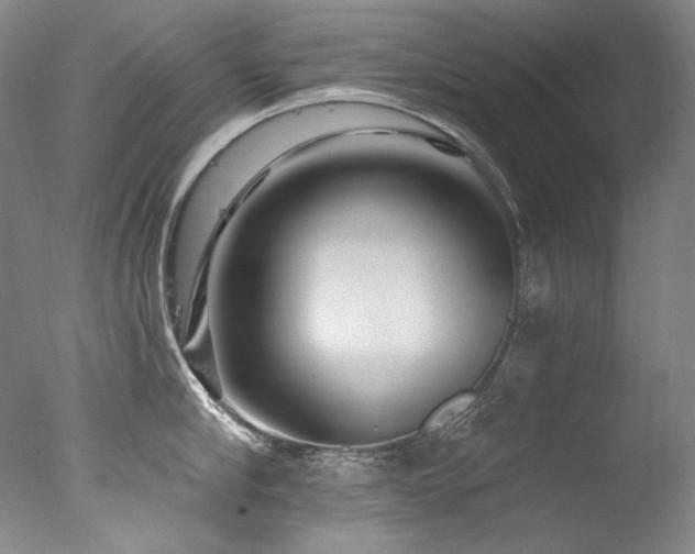 X0000077370910200610201345