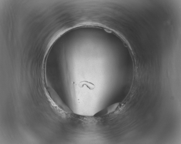 X0000077370911200610201345