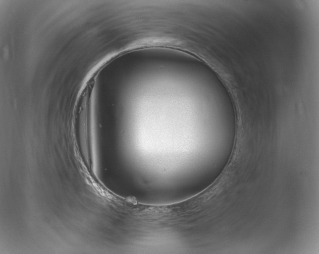 X0000077370912200610201345