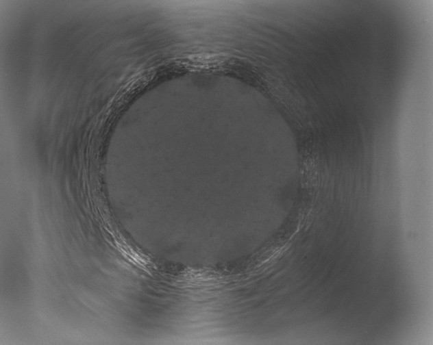 X0000077370913200610201344