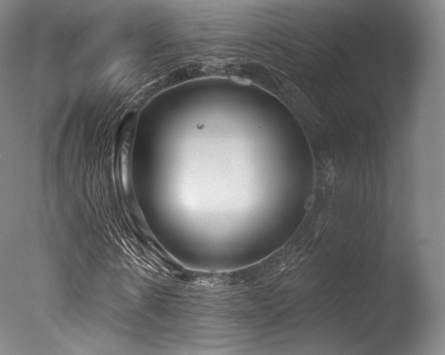 X0000077370914200610201344