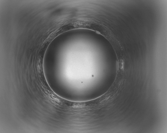 X0000077370915200610201344