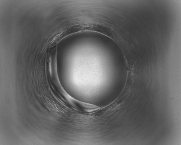 X0000077370916200610201344