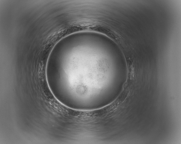 X0000077370917200610201344