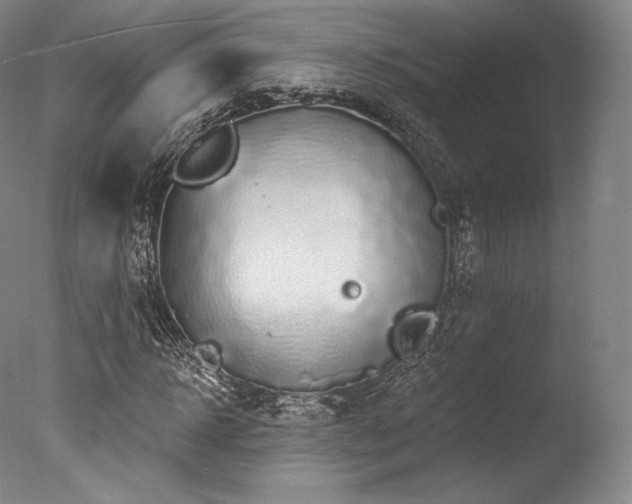 X0000077370918200610201344