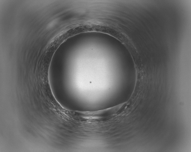 X0000077370919200610201344