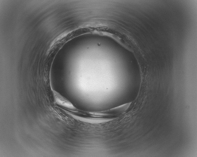 X0000077370920200610201344