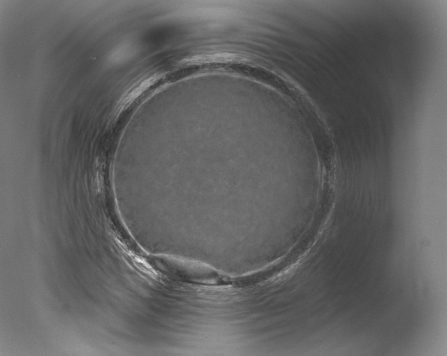 X0000077370921200610201345