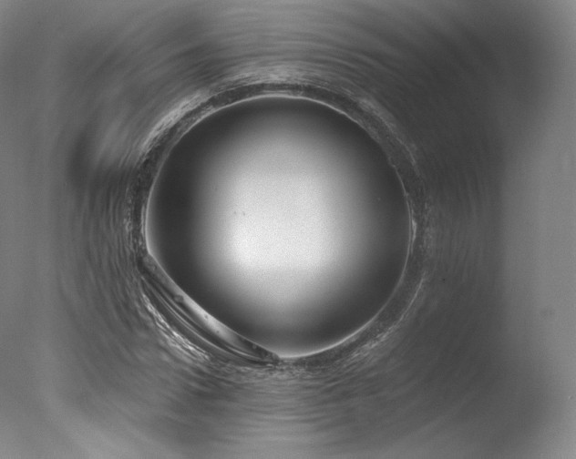 X0000077370922200610201345