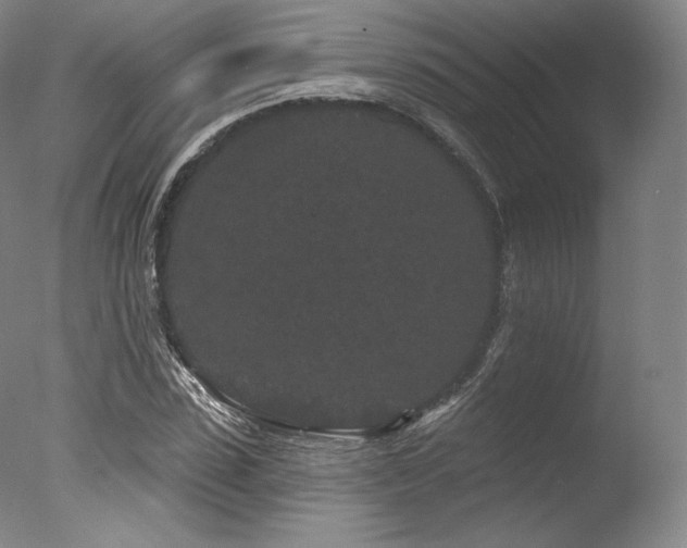 X0000077370923200610201345