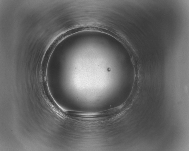 X0000077370924200610201345