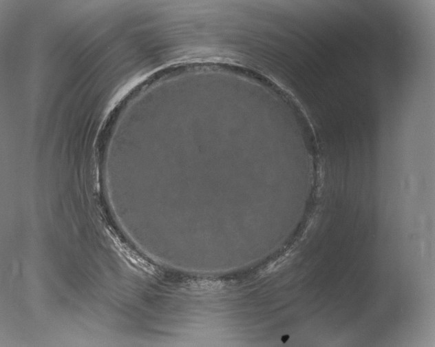 X0000077370925200610201345