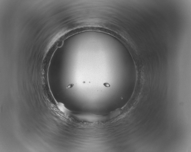 X0000077370926200610201345