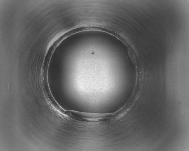 X0000077370928200610201345