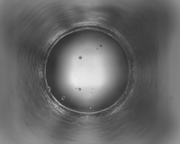 X0000077370929200610201345