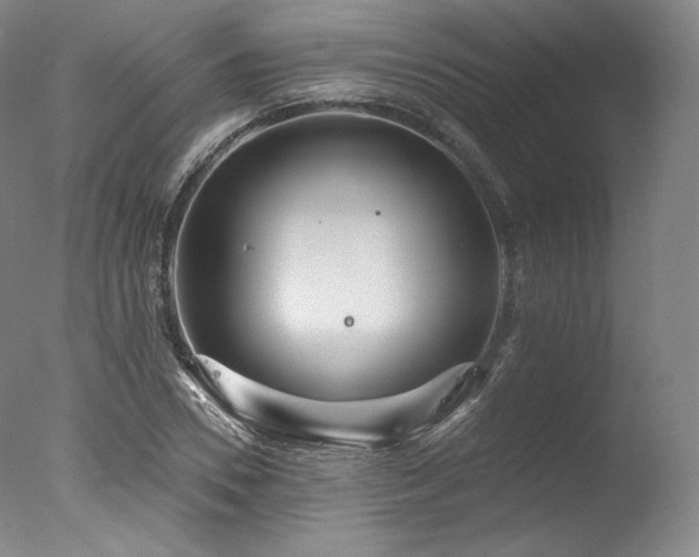 X0000077370930200610201345