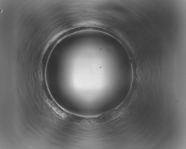 X0000077370931200610201345