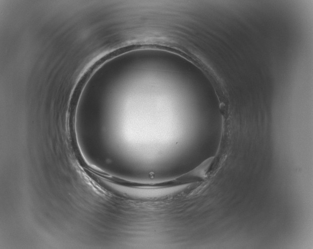 X0000077370932200610201345