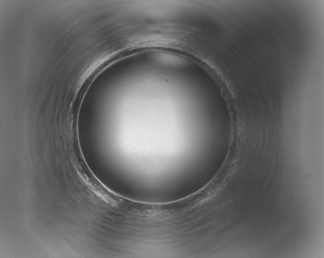 X0000077370933200610201345