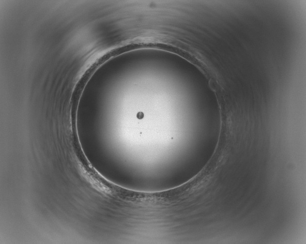 X0000077370934200610201345