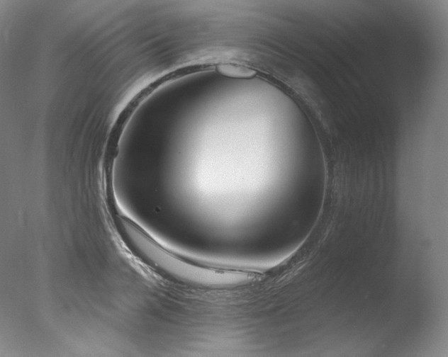 X0000077370936200610201345