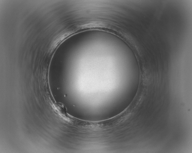 X0000077370937200610201345