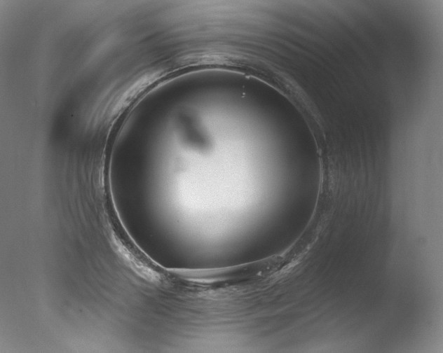 X0000077370938200610201345