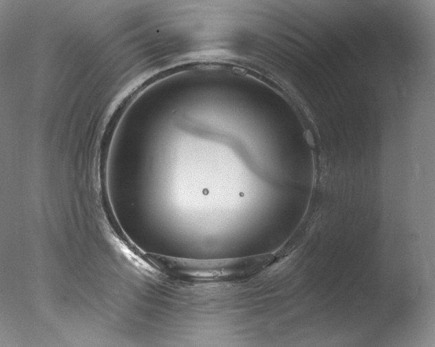 X0000077370939200610201345