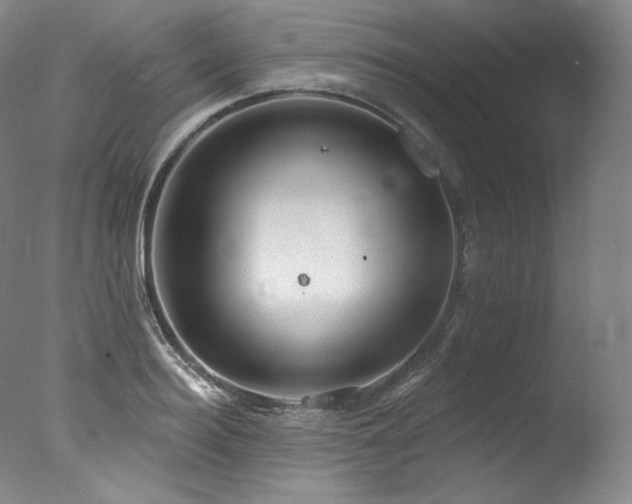 X0000077370940200610201345