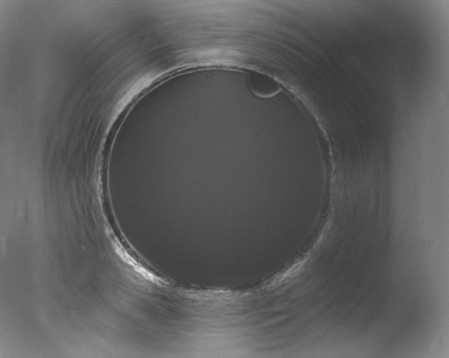 X0000077370941200610201345