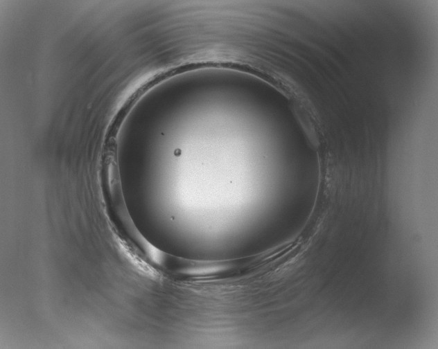 X0000077370942200610201345