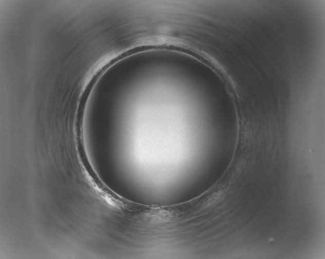 X0000077370943200610201345