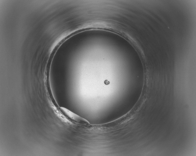 X0000077370944200610201345