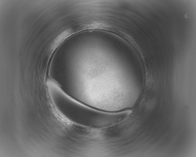 X0000077370946200610201345