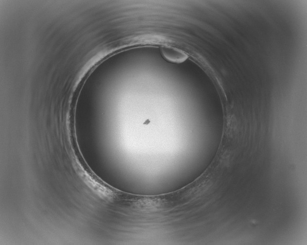 X0000077370947200610201345