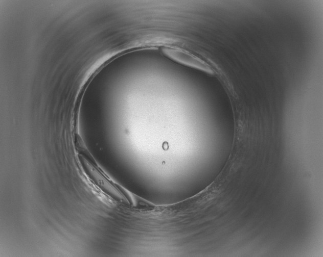 X0000077370948200610201345