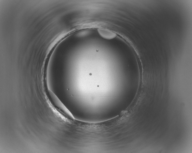 X0000077370949200610201345