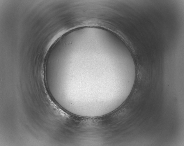 X0000077370950200610201345