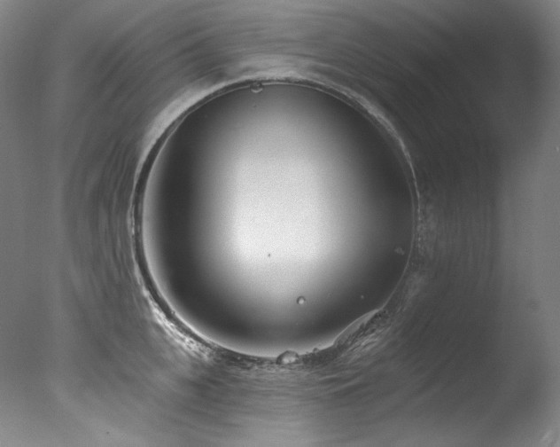 X0000077370951200610201345