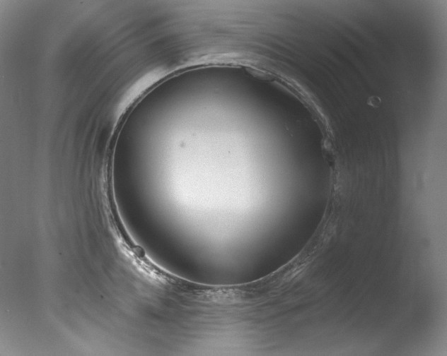 X0000077370952200610201345