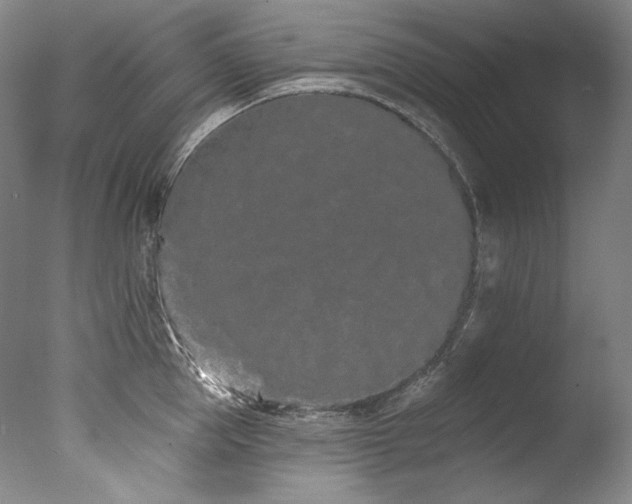 X0000077370953200610201345