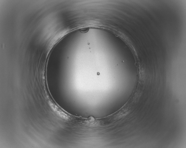 X0000077370954200610201345