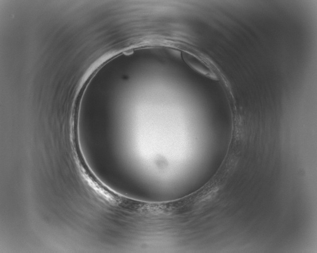 X0000077370955200610201345