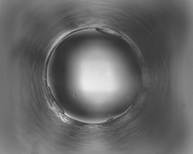 X0000077370956200610201345