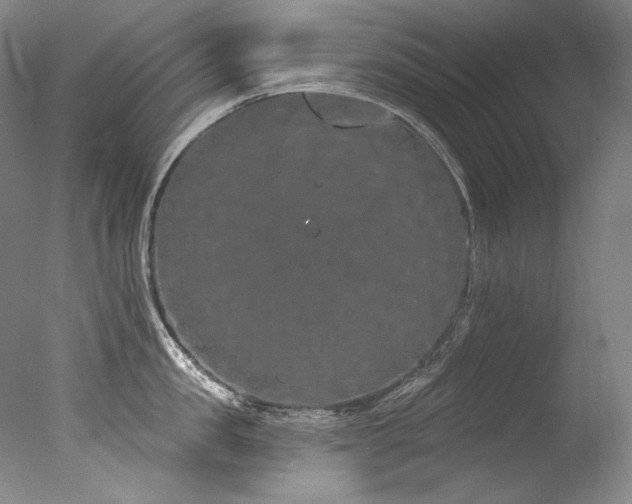 X0000077370957200610201345