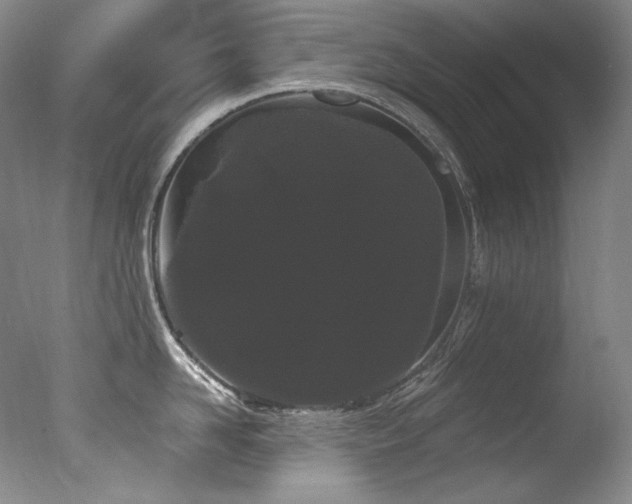 X0000077370958200610201345