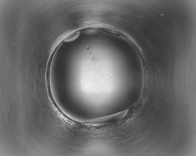 X0000077370959200610201345