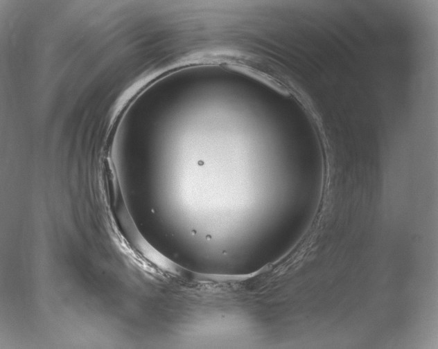 X0000077370960200610201345